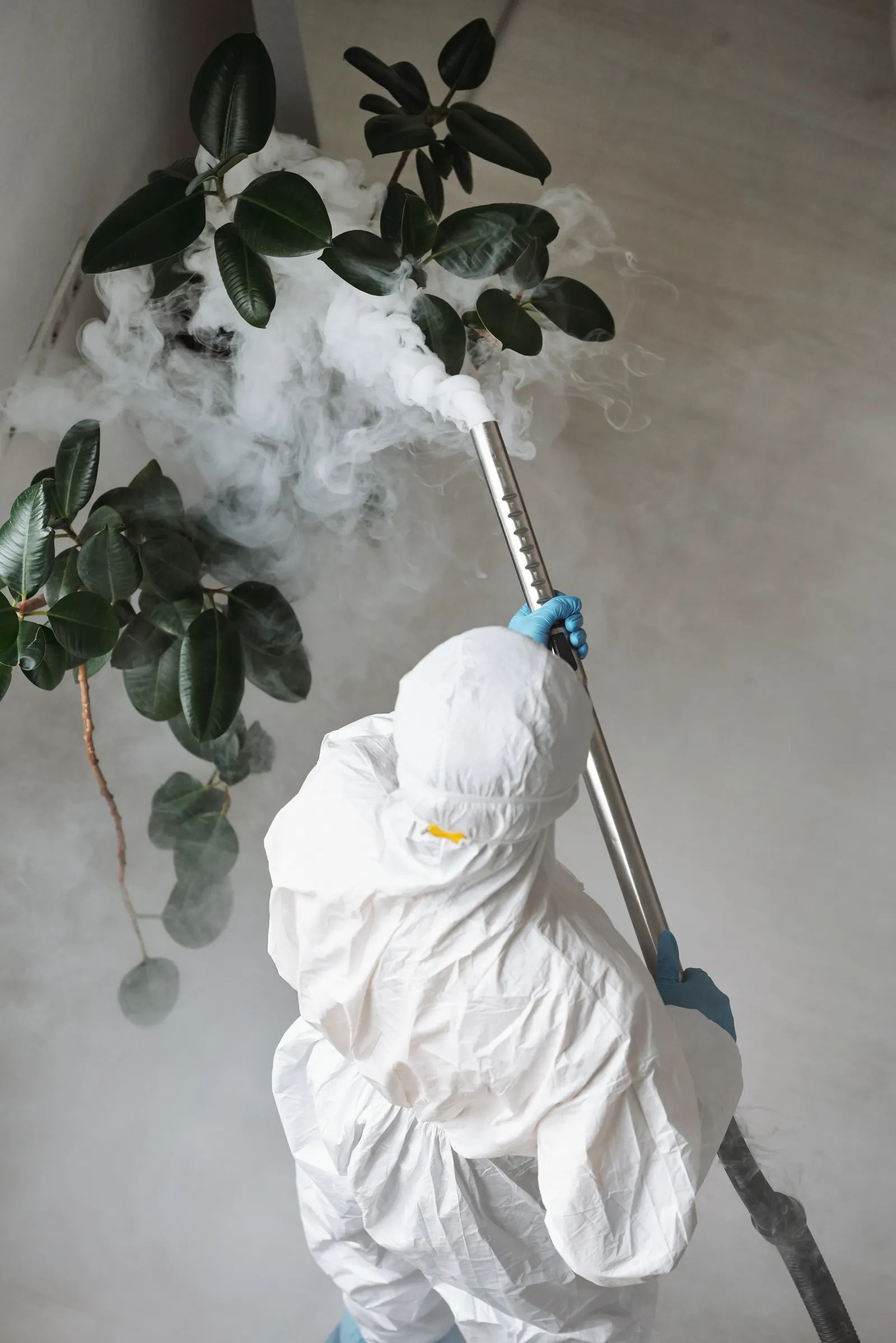 A technician treating vegetation around a property